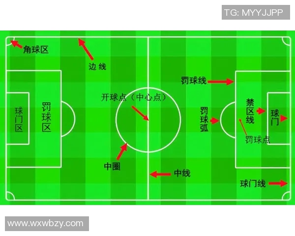 掌握足球起球技巧提升你的比赛表现与控球能力的全面指南
